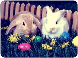 Easter Solidarity — promotional material 1